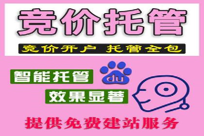 SEM竞价代运营公司业绩案例对比